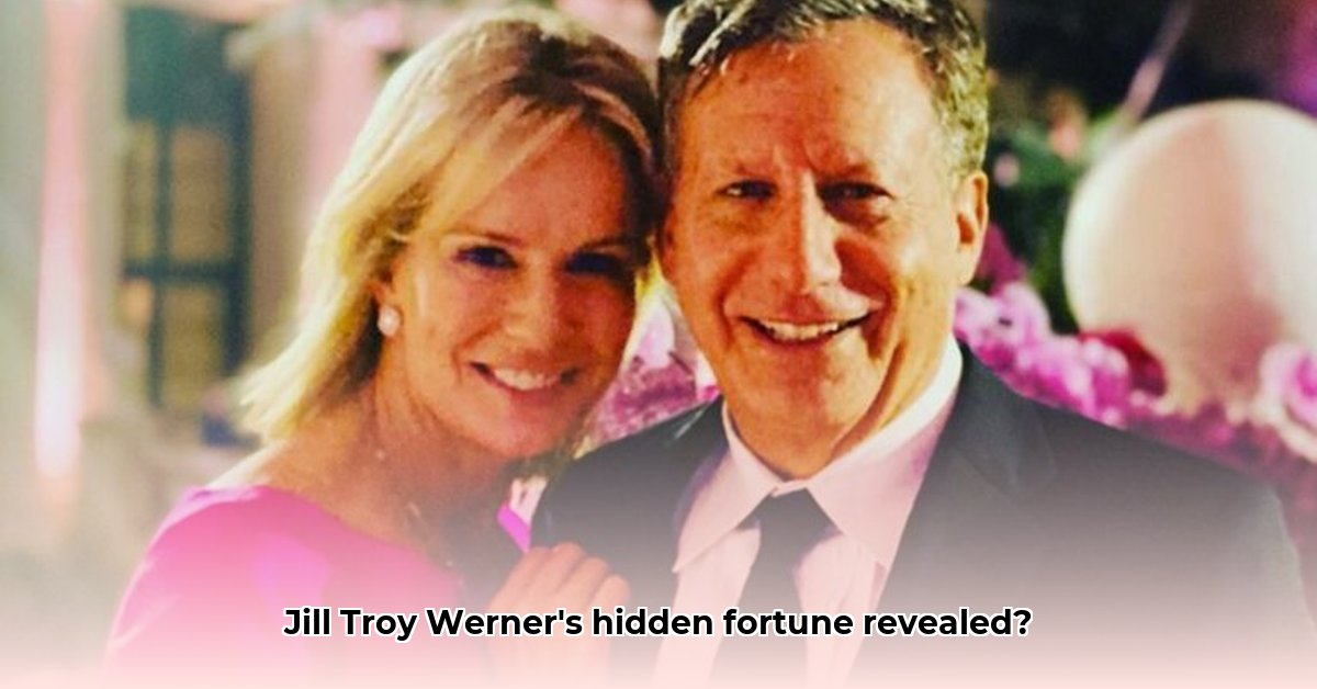 jill-troy-werner-net-worth